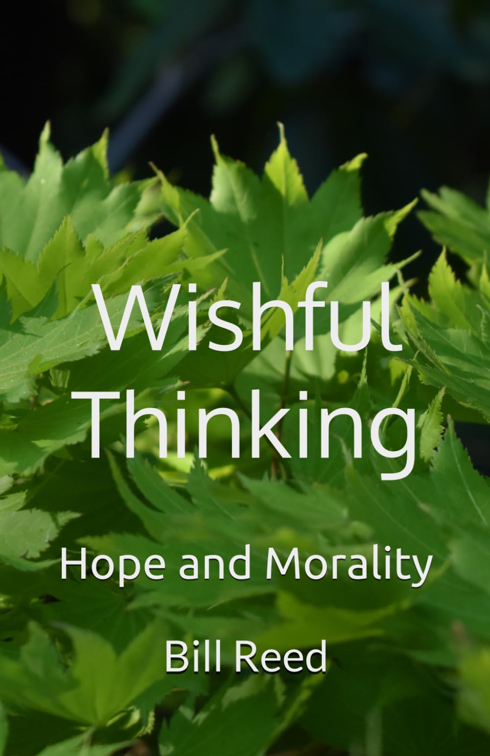 Wishful Thinking: Hope and Morality