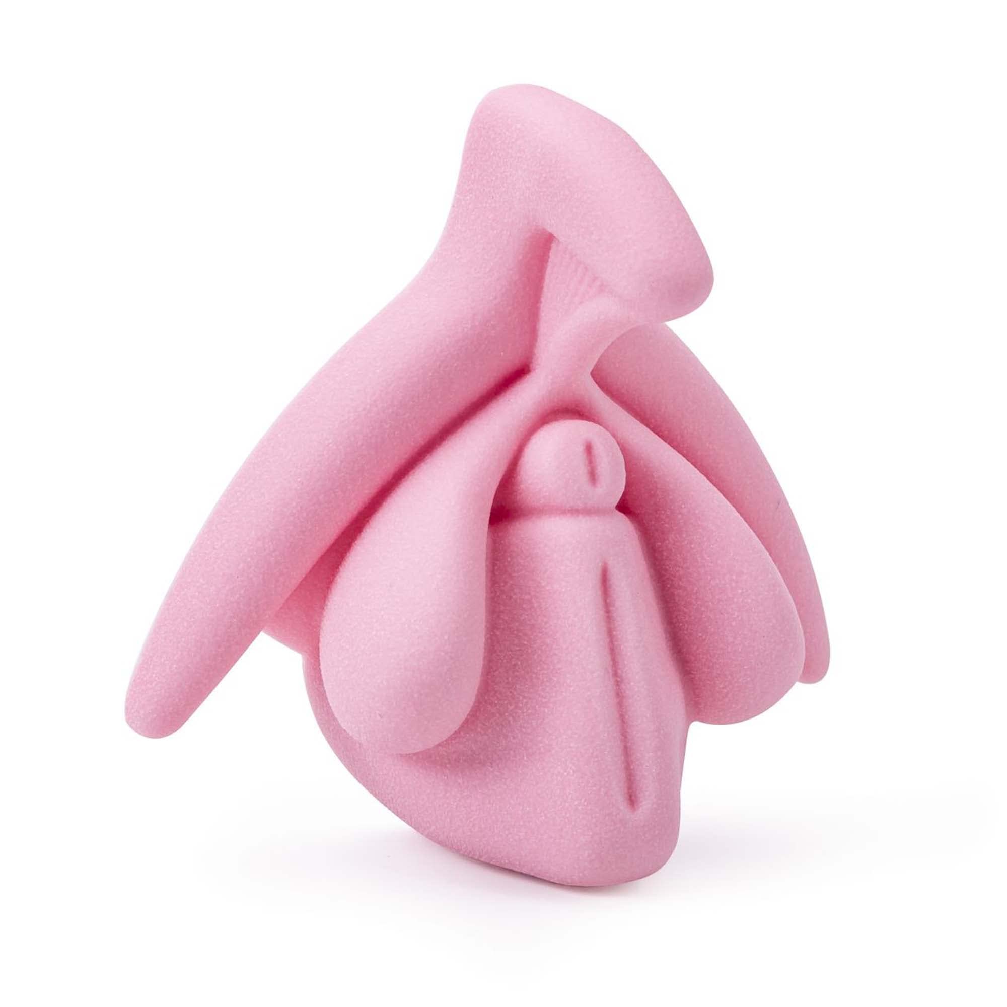 Medintim | Modèle éducatif | Anatomie du clitoris en 3D (Rose)