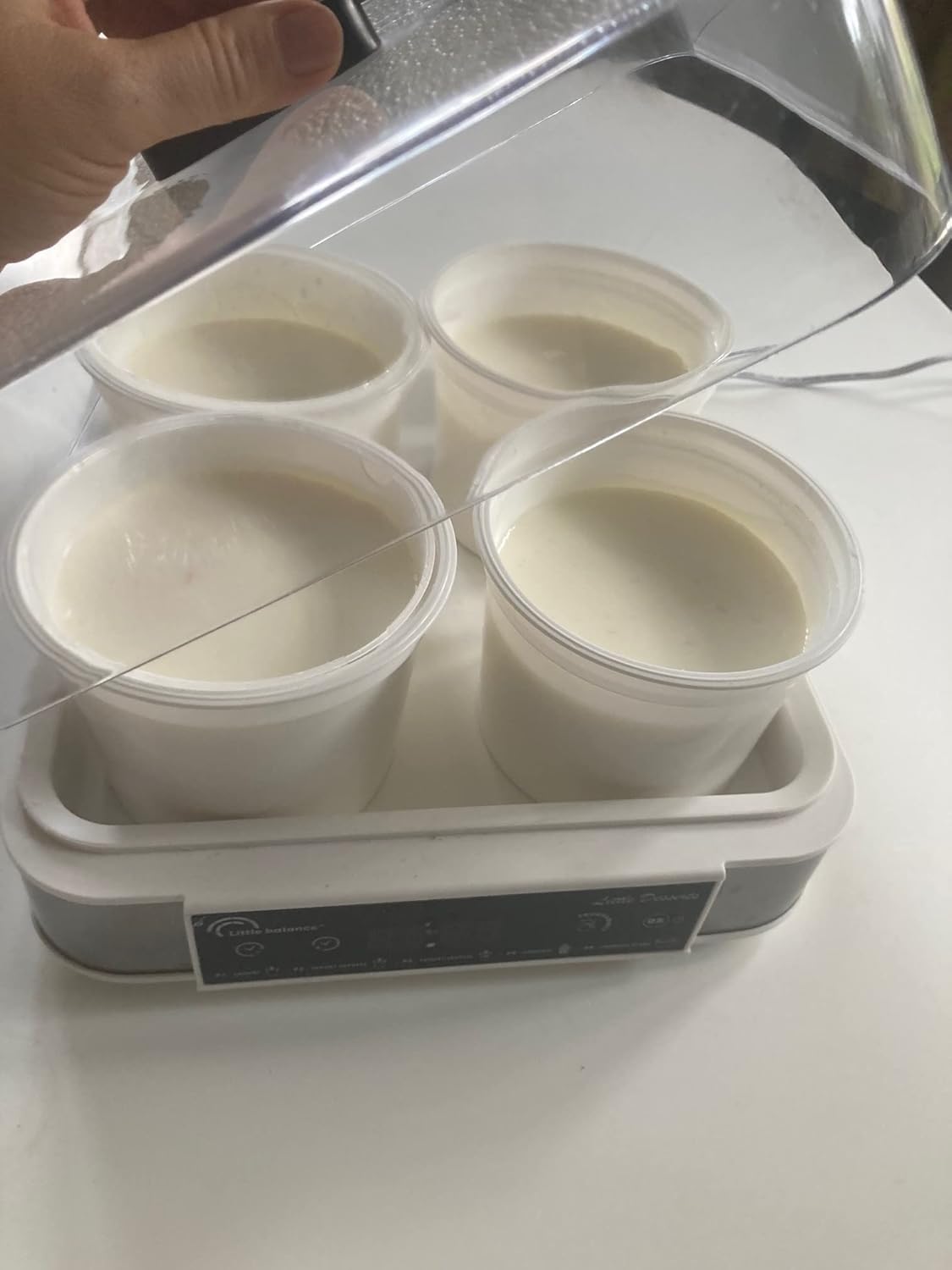 LITTLE BALANCE 8578 Set of 4 Pots for White Cheeses, 4 Pots for Cheeses, 500 g, Pot + Drainer + Lid, Ideal for Home-Made Cheeses, Made in France