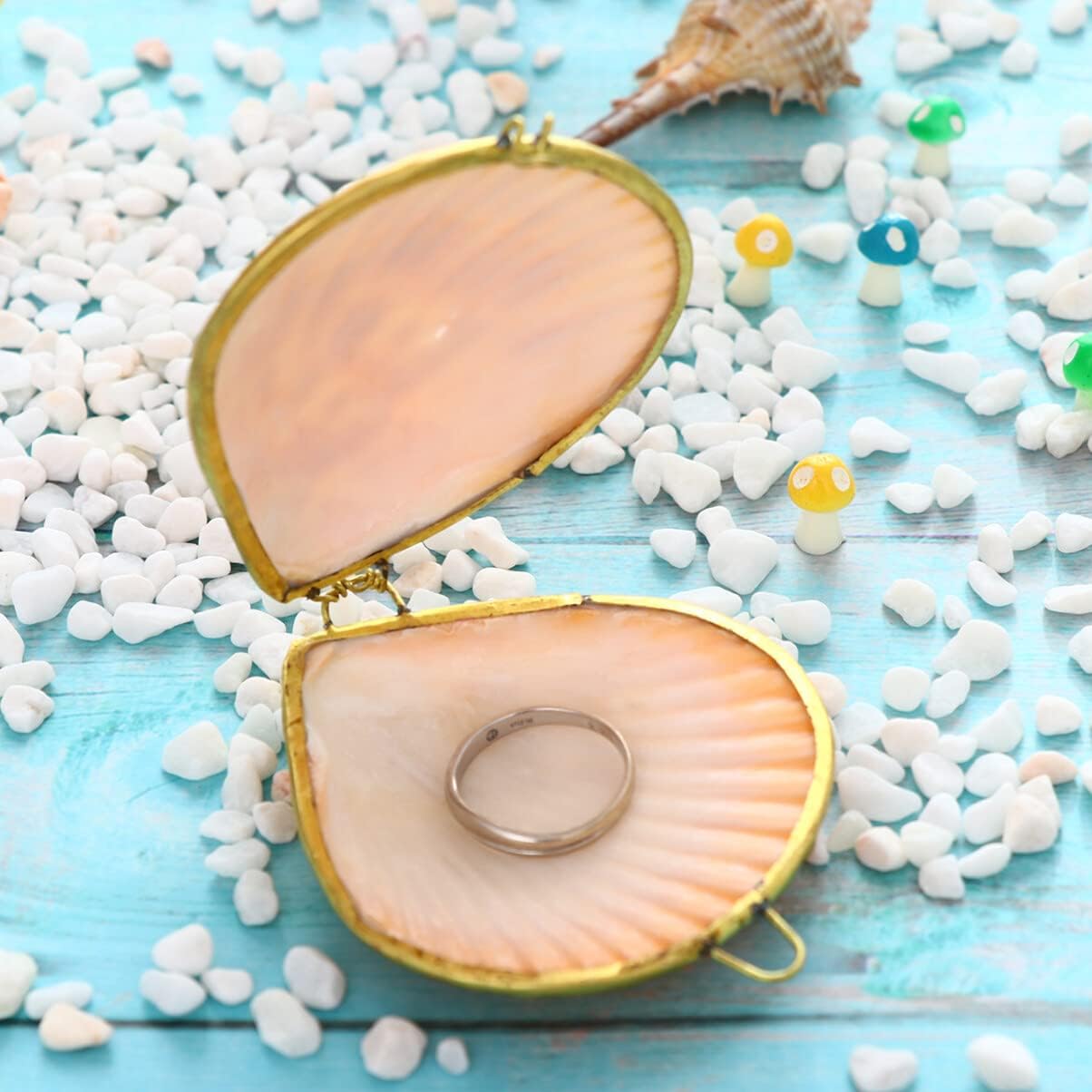 Sewroro Seashell Jewelry Box Small Shell Jewelry Holder Natural Seashell Trinket Organizer for Home Use and Travel Storage - Image 6