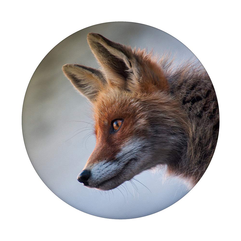 Fox Design PopSocket Phone Grip - Swappable Expandable Grip For Phones & Tablets