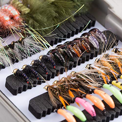 image for BASSDASH 76pcs Fly Fishing Flies Kit with Fly Box for Trout Fishing In