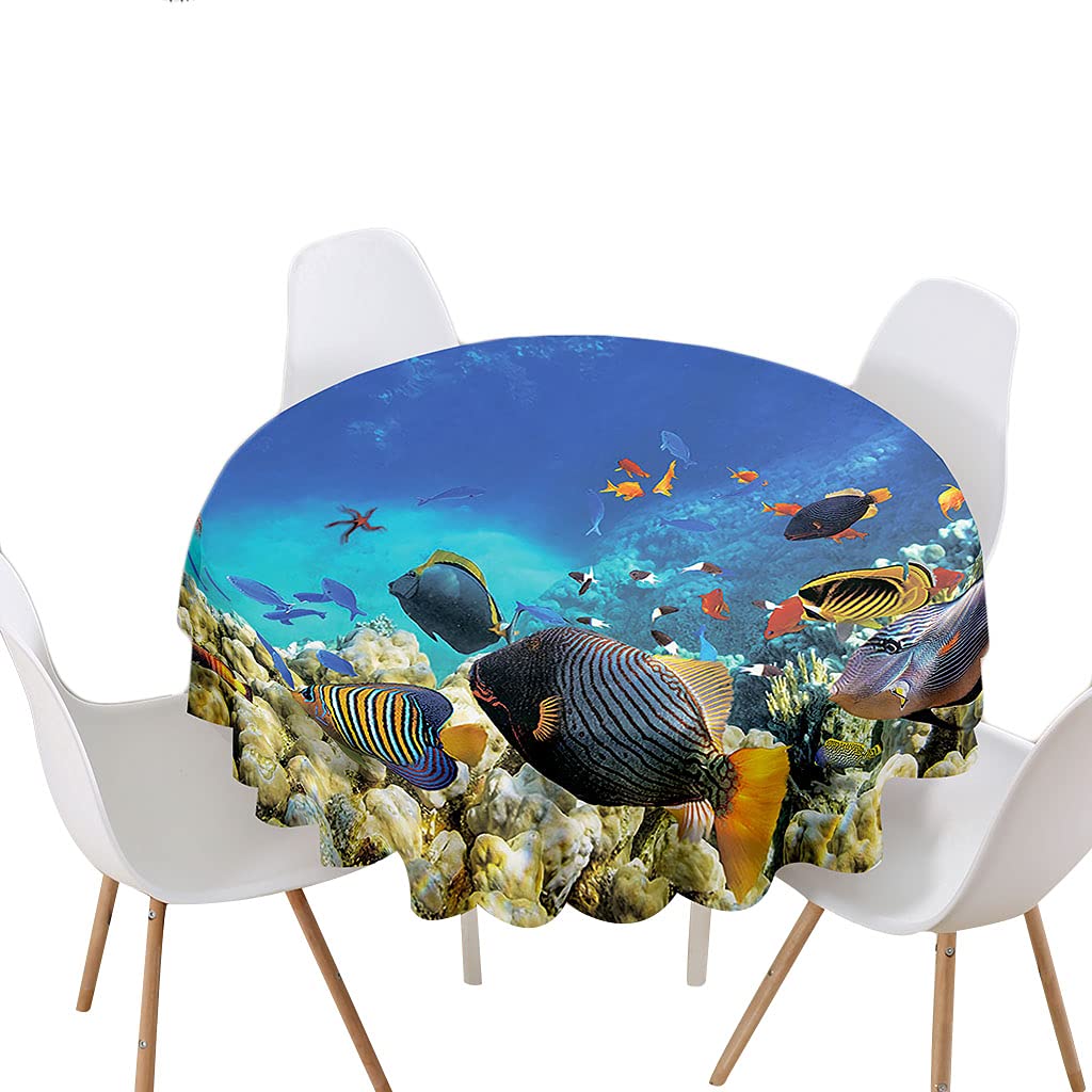 Kit De Protection De Cadre Vélo En Film Carbone Anthracite - Autocollant V2 Pour VTT/BMX