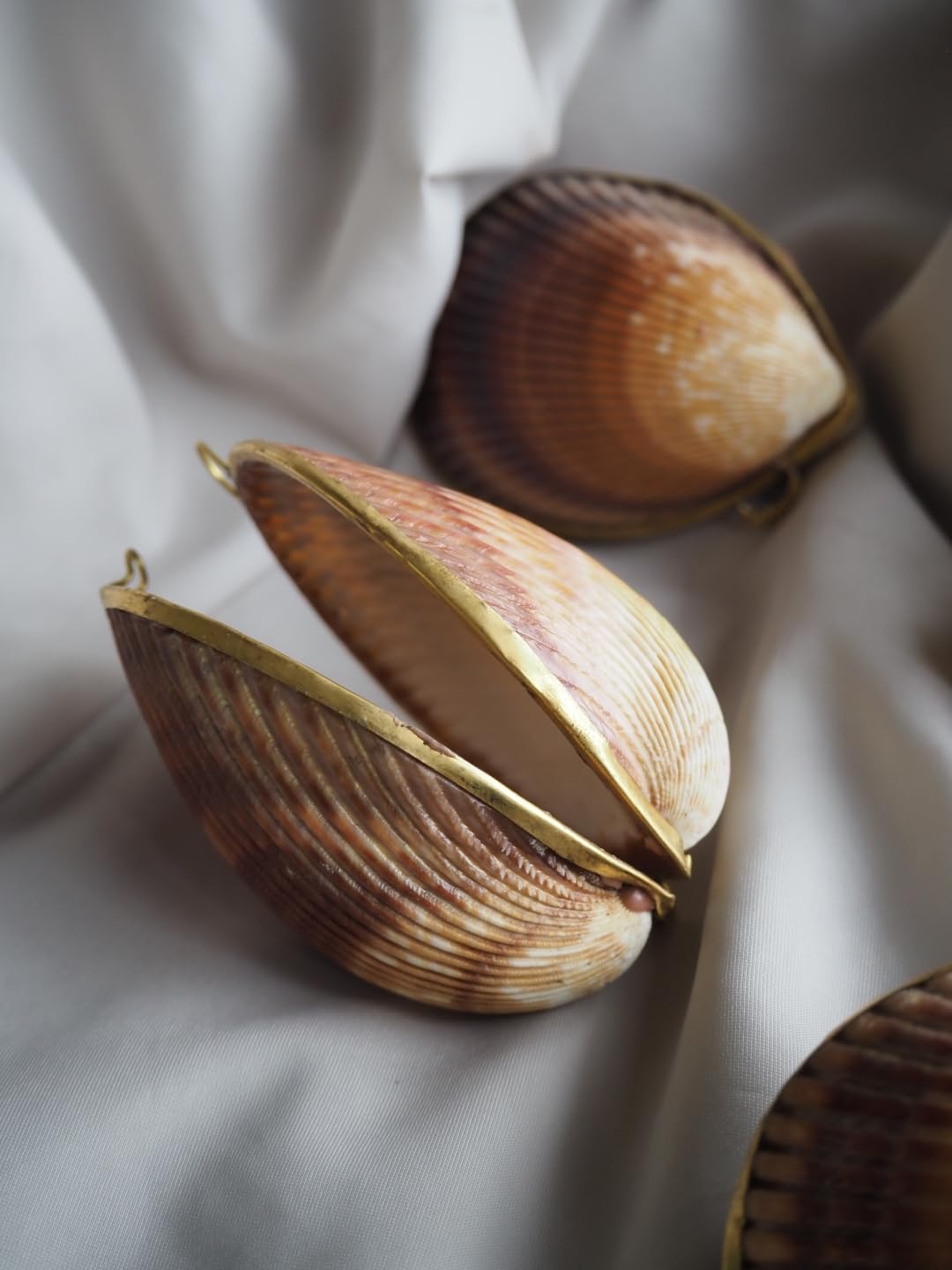 Amazon.co.jp: 貝殻の問屋さん: 貝殻の小物入れ