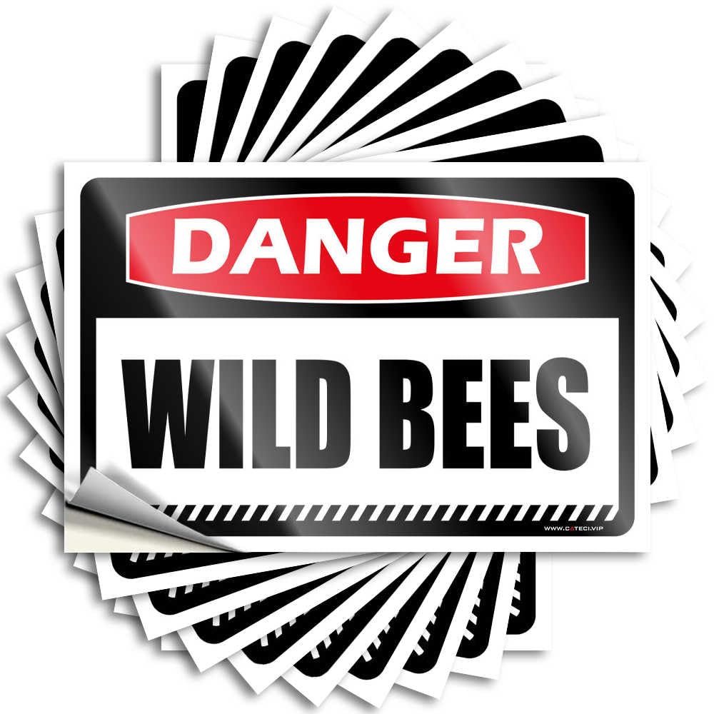 Fzfn Boys Colour Danger Wild Bees Saying Outside Fall Decor Self Adhesive | Metal Window Vinyl Sticker Pack For Student(6X9cm)