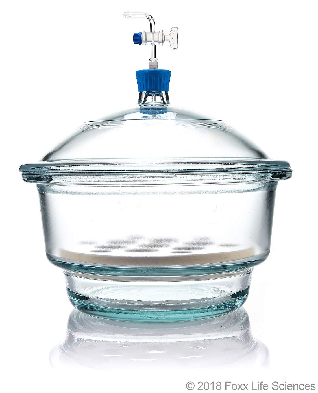 Buy BOROSIL 3083045 Desiccator Vacuum, Stopcock with Ptfe Spindle and