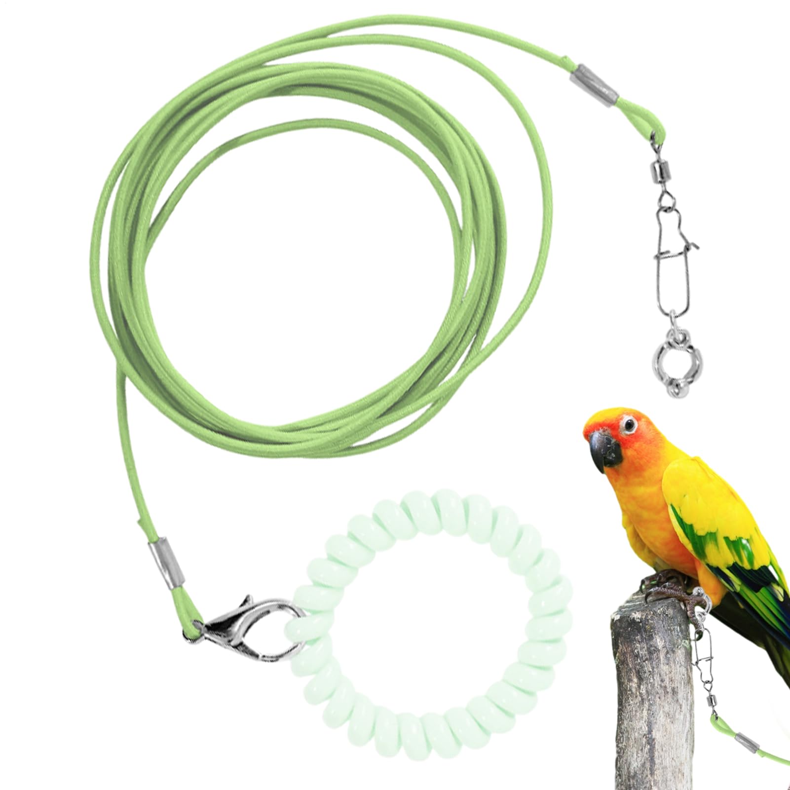 Corda volante per pappagalli, corda da addestramento per uccelli e animali domestici, resistente ai morsi, con anello alla caviglia, per terrazza, giardino, cortile