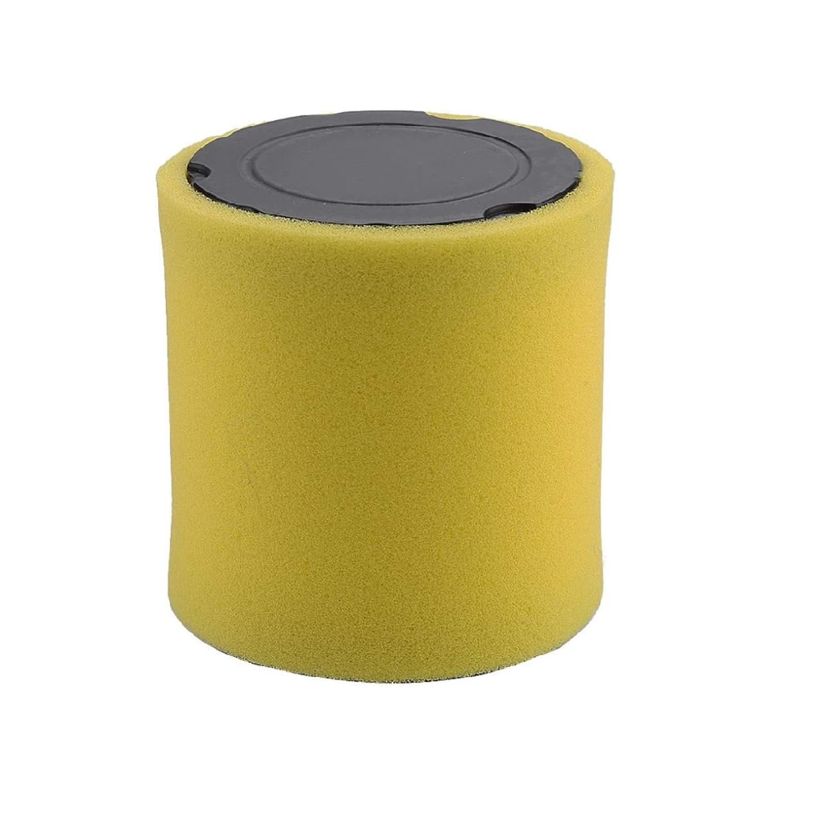 10 filtros de Aire para Briggs & Stratton, 796031 594201 591334