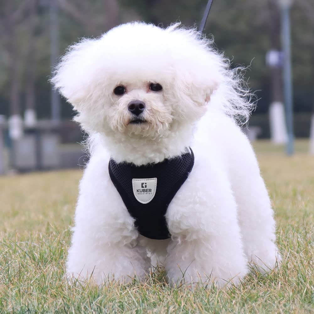 Kuber Industries Small Dog/Cat Chest Harness with Nylon Leash I No Pull, Soft Padded and Breathable Pet Vest I Adjustable, Reflective I Easy Control Pet Chest Belt I (X-Small,Black) (B0C2Z6ZDMK) Amazon Price History, Amazon Price Tracker