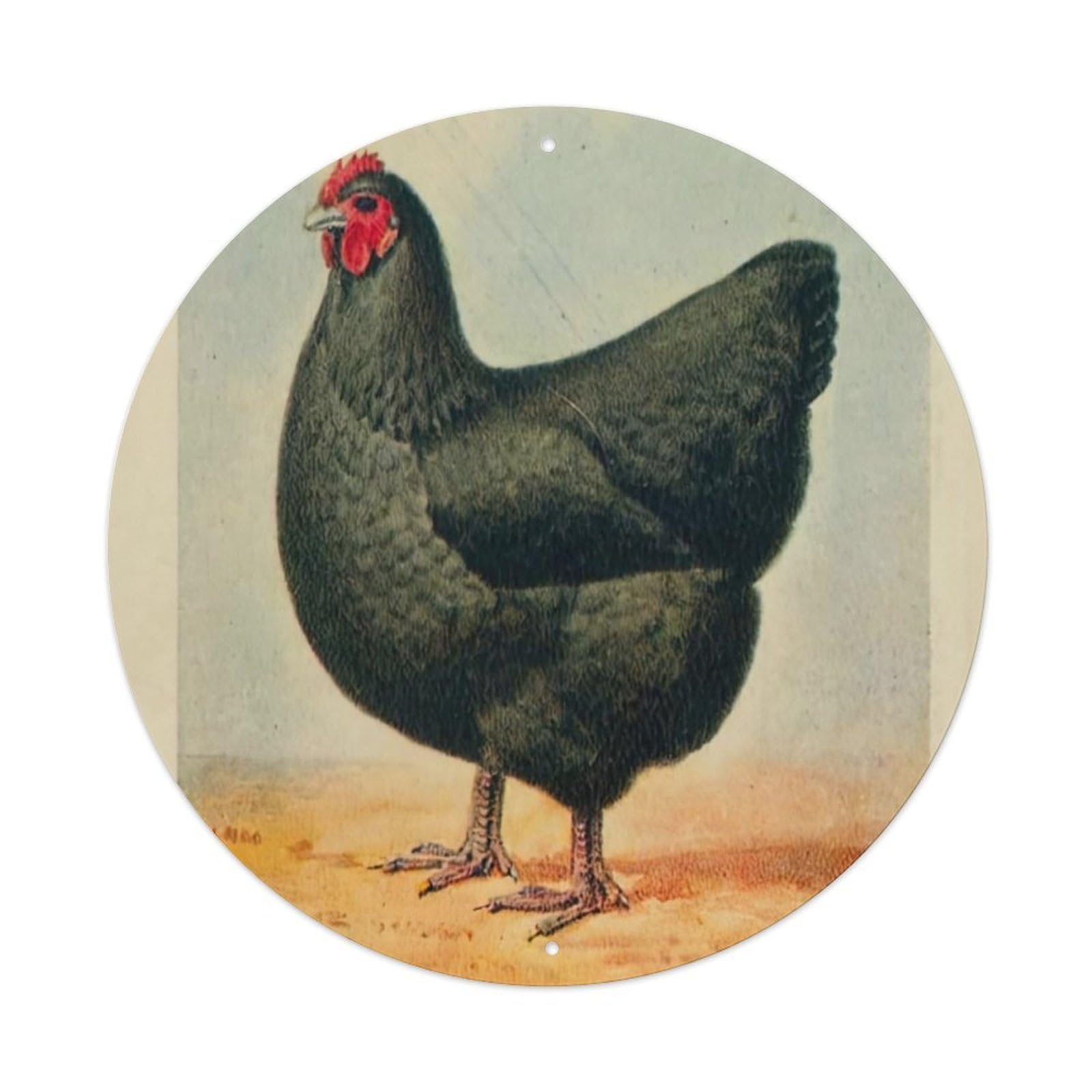 Animal Artwork Black Orpington Hen Vintage Metal Tin Sign Plaque Wall Decor for Cafe, Club Bar, Office, Garden Metal Poster 8x8Inch