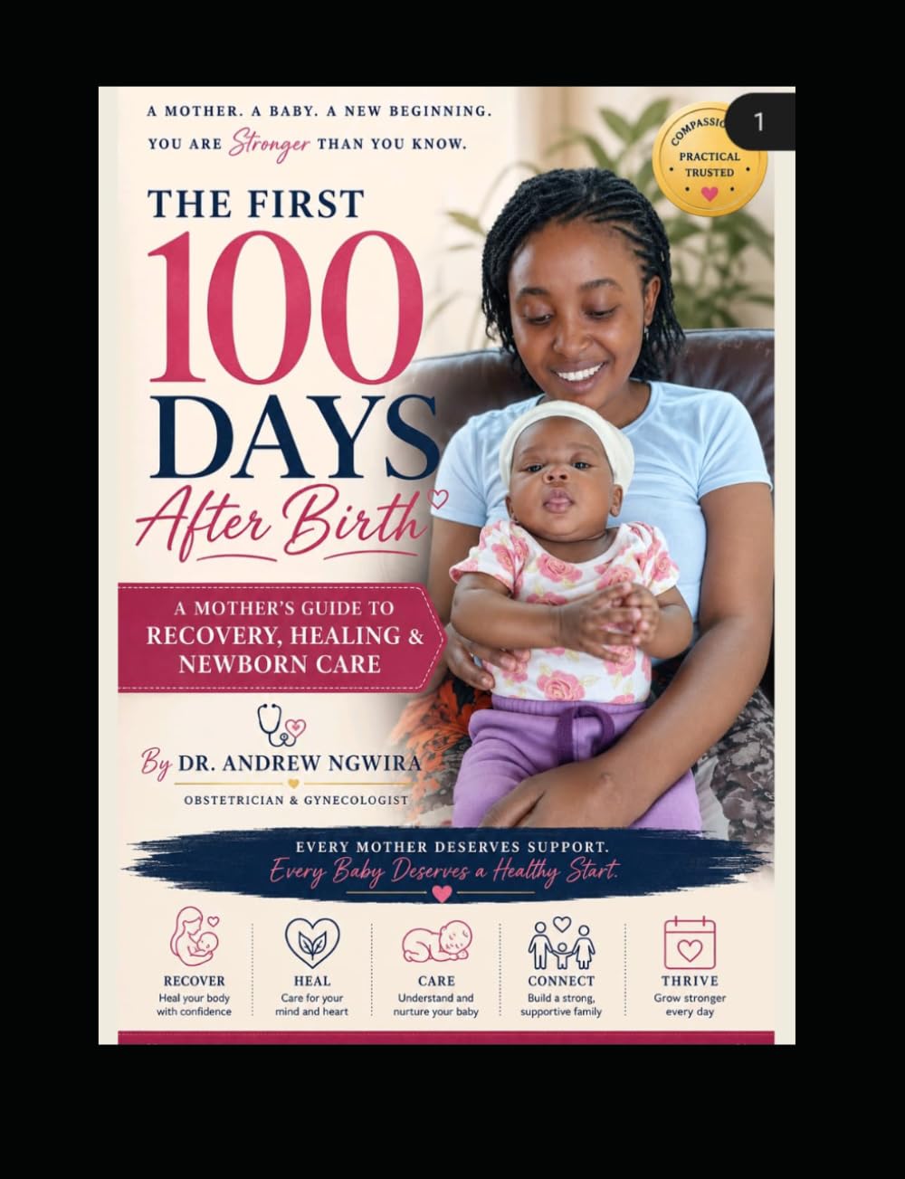 The First 100 Days After Birth: A Mother's Guide to Recovery, Healing & Newborn Care