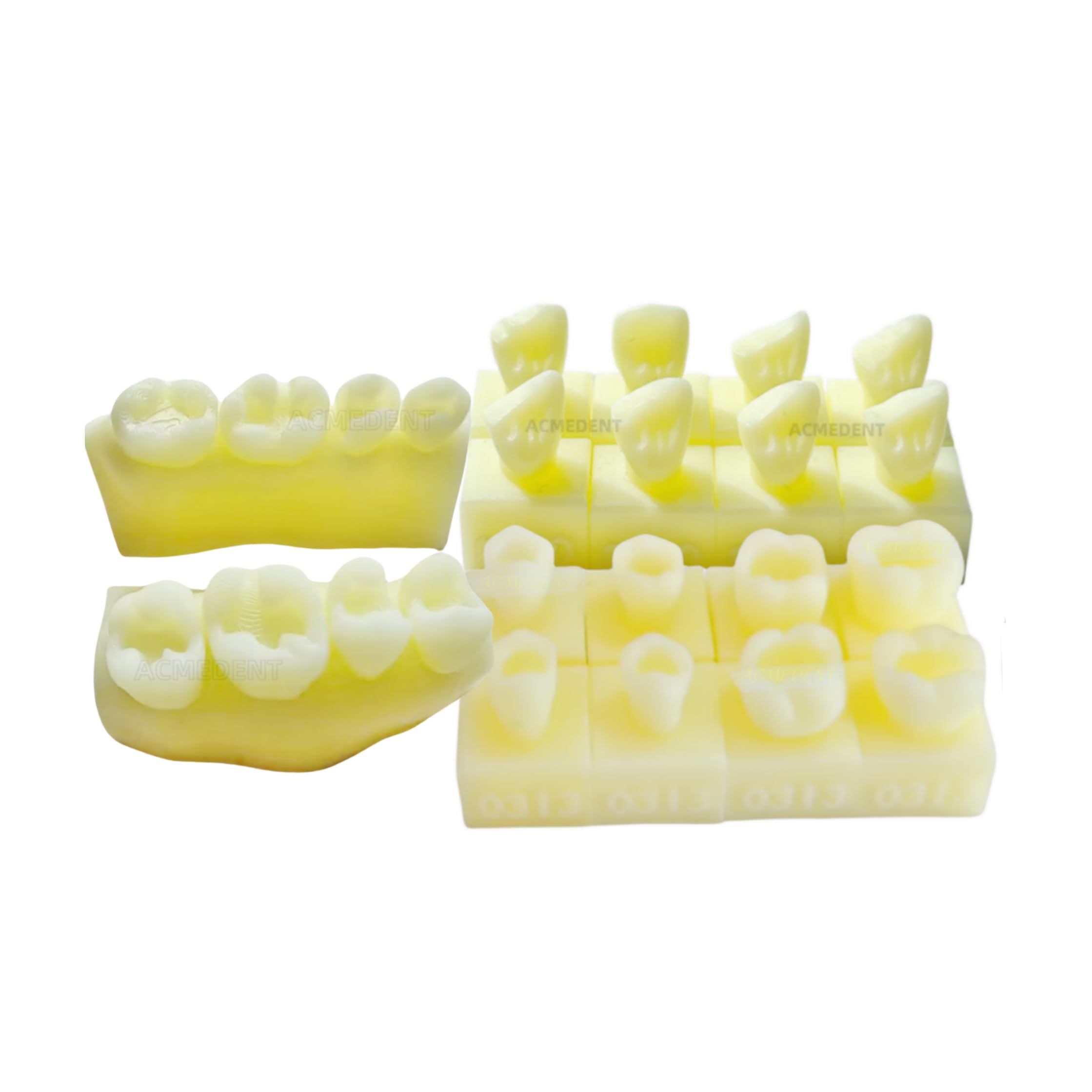 Dentist Practise Dental Caries Decay Teeth Model Dentist Template Anterior Molar Student Composite Resin Restoration Exam Tool (EachX1,total 3 sets)