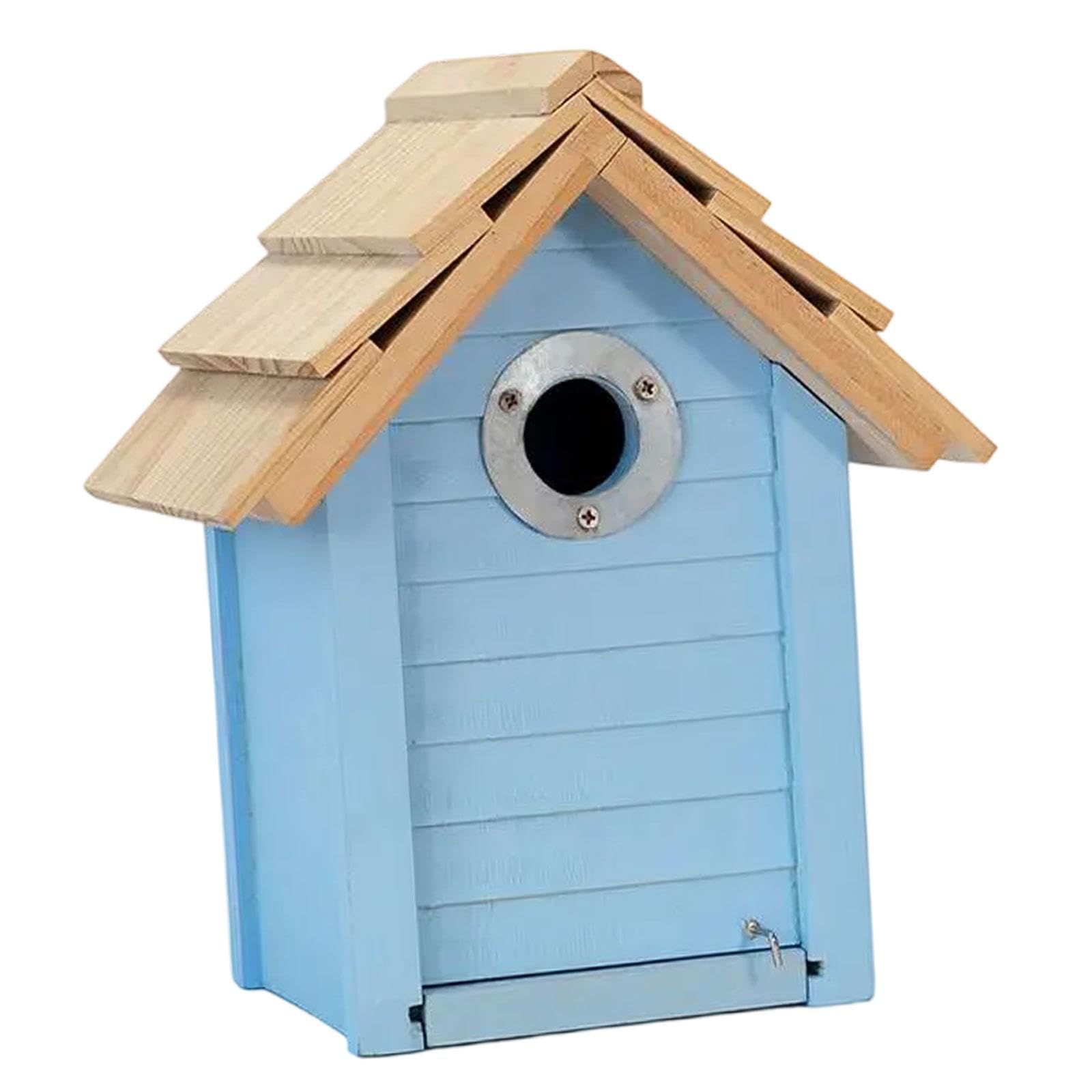 House Bird pour Fenêtre : Observez les Oiseaux sans les Effrayer chez Vous