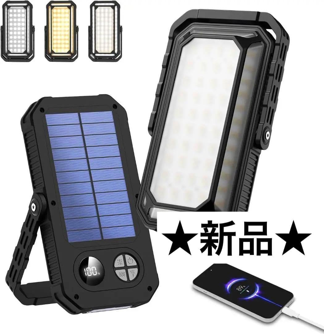 ビカクシダ ウィリンキー コルク付け4 ビカクシダ ウィリンキー