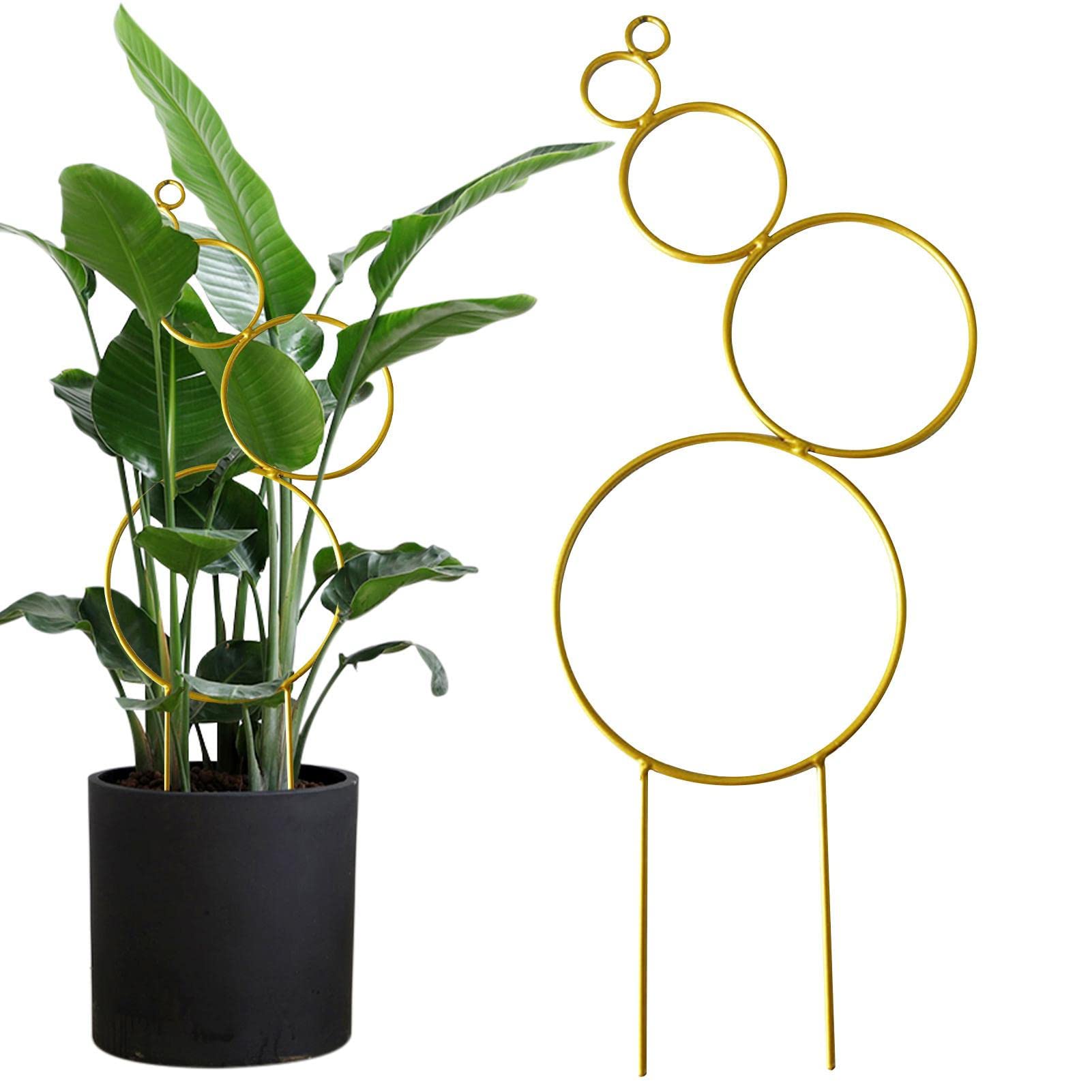 Sloane Gold Small Trellis For Potted Plants | Tower Obelisk Garden Trellis Plant Support Vine Supports - Outdoor Indoor Plant Stake For Potted Climbing Vines And Flowers Stands