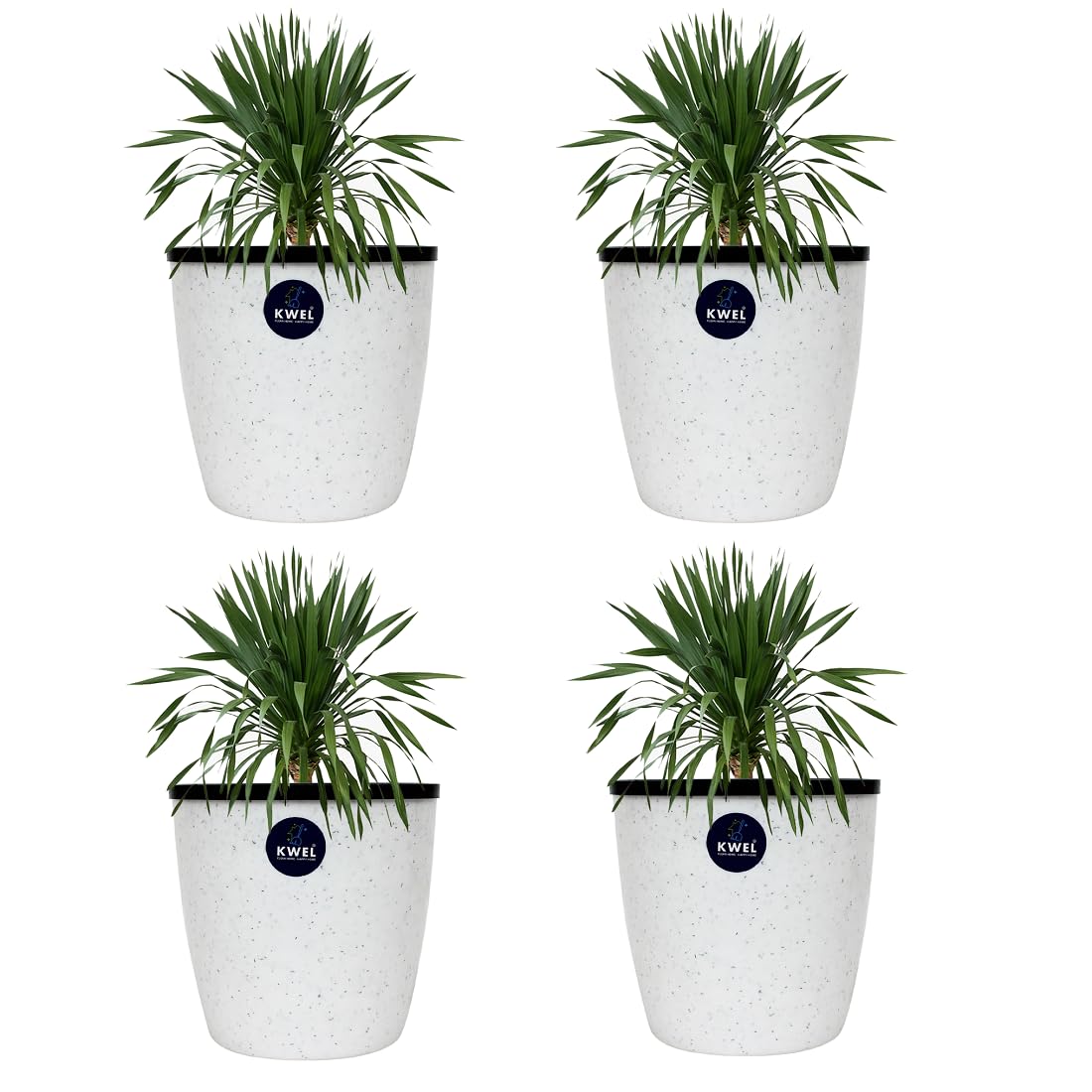 KWEL Deco Self Watering Flower Pot Virgin Plastic Indoor/Outdoor Size 6 Inches - Pack of 4 (Doted White) (B0CD47C5DP) Amazon Price History, Amazon Price Tracker