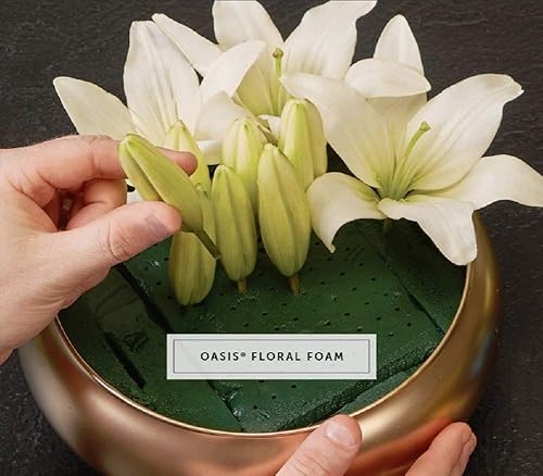 Miniatura 3 de Oasis® 8 piezas estándar de ladrillo de espuma floral húmedo flor fresca flor boda floristería artesanía