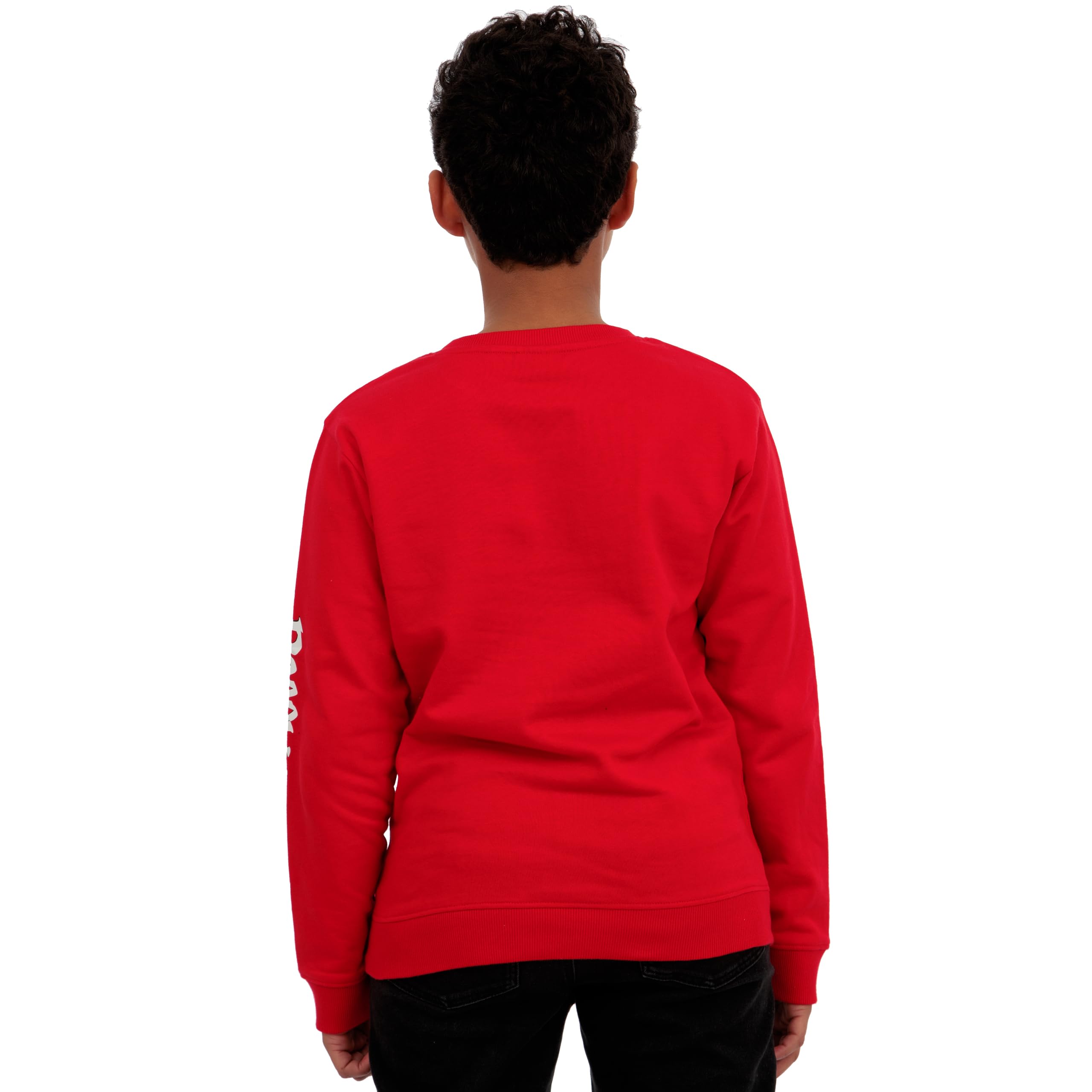 Poppy Playtime Sudadera Niño, Sudaderas Niños De Huggy Wuggy, Ropa Niños De Algodón para Gamers - 5