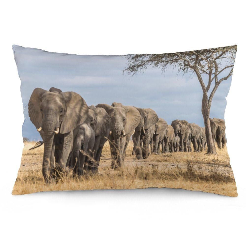 Nibabaeu Multicolor Cushion Covers 1 Pcs Wild Animals Herd Elephants Decorative Pillow Covers 20X30inches (50X75cm) Soft Polyester Square Pillow Cases Pillowcases