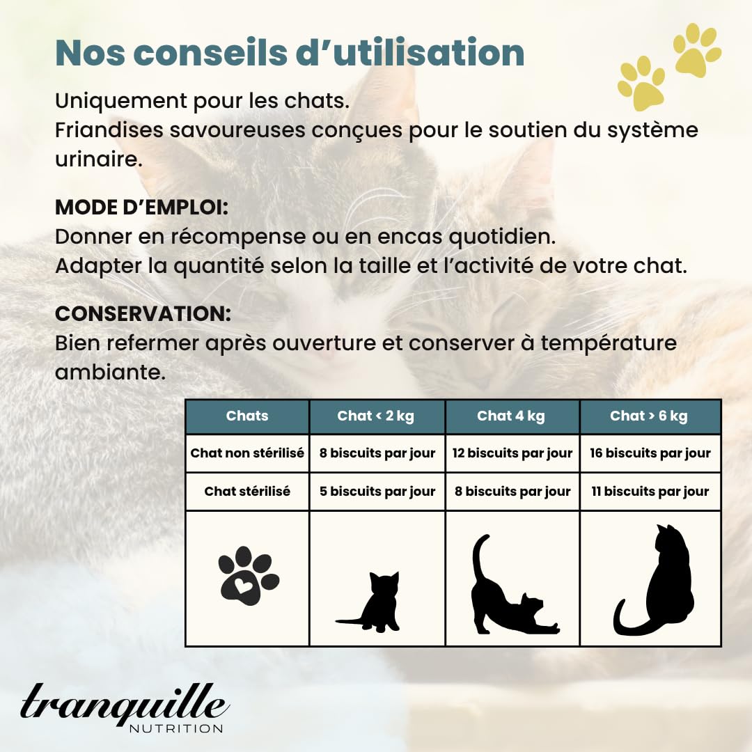 Tranquilo Crunch' Experto Urinario para Gato (40 x 60 g) | Dulces de Arándano Seco | Apoyo al Sistema Urinario | Croqueta Gato | Prevención de Infecciones | Snack Bienestar sin Azúcares