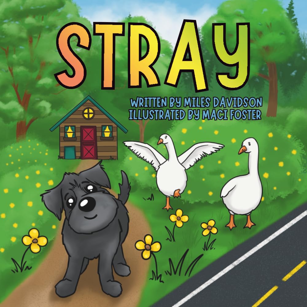 Stray
