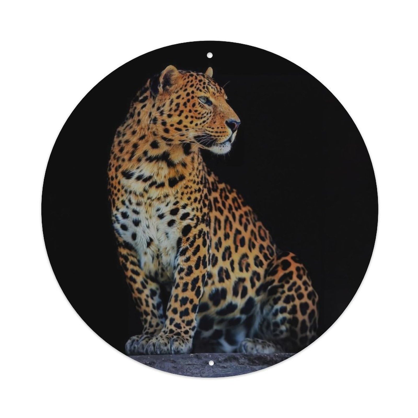 Animals Leopard in The Dark Vintage Metal Tin Sign Plaque Wall Decor for Cafe, Club Bar, Office, Garden Metal Poster 8x8Inch