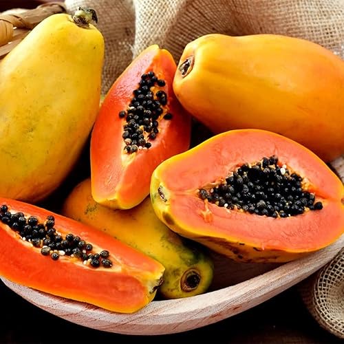 30 semillas de papaya - Árbol frutal nutritivo exótico tropical, fácil de cultivar y cosechar