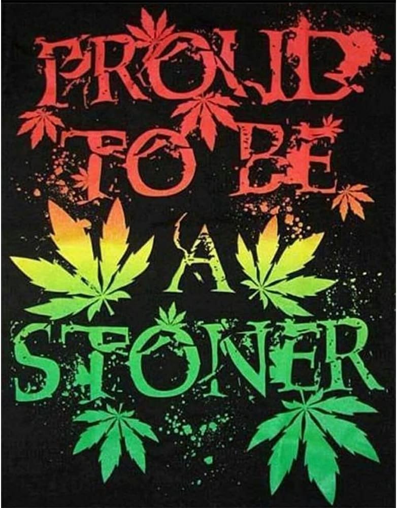 Kits y Accesorios de Pintura de Diamante