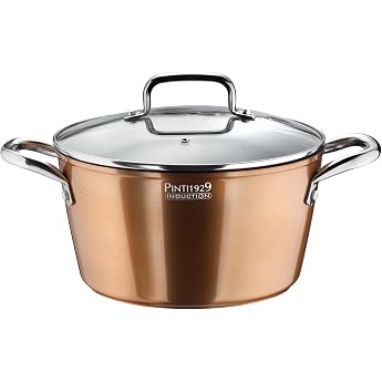 Pintinox Cooking Pot Metallic with Lid Aluminium 20 cm Diameter Non-Stick Coating Induction
