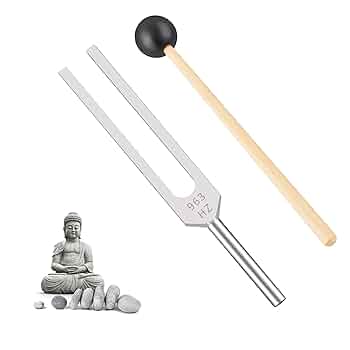 Amazon | Wlongtor 音叉、チャクラ癒しのためのエネルギー