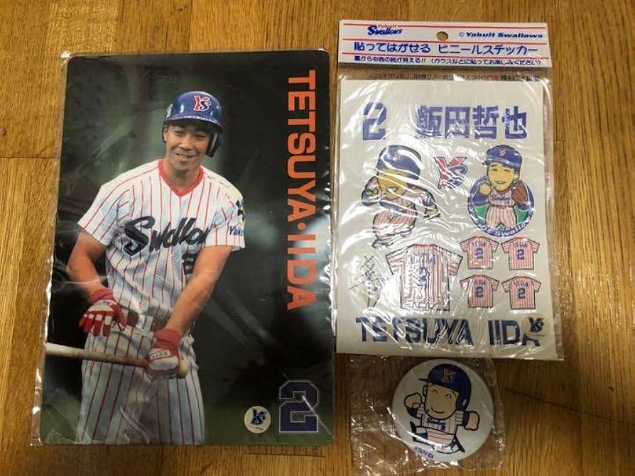 ヤクルト　下敷き 下敷き）ヤクルトスワローズ '95セ・リーグ優勝 / 金沢書店