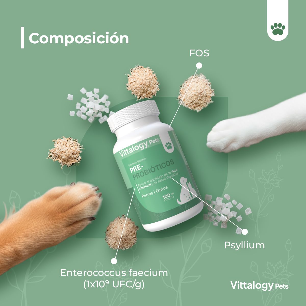 Pre Y Probióticos Perros Gatos Vittalogy | Enterococcus Faecium FOS Y Psyllium | Equilibrio Digestivo Y Restablecimiento De Flora | Fórmula En Polvo De Uso Diario