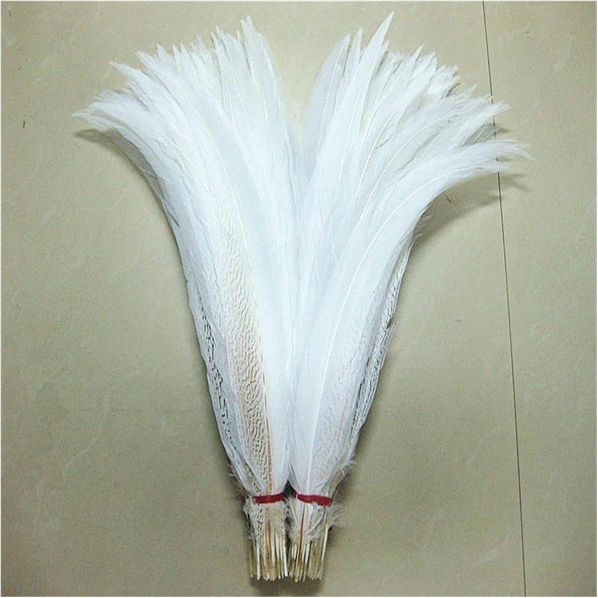 Piume, piume di coda di fagiano argentate 10-80 cm 4-32" piume di coda di fagiano argentate per artigianato decorazioni fai da te grandi piume lunghe bianche argentate piume piumaggio boa-10 pez