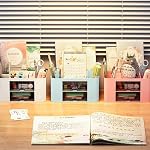 Desk Organizer Office with Drawer Pen Holder for Storage Box Accessories Organizers and Home School Multifunctional with 4 Compartments 2 Drawers Cute Plastic for Makeup Desktop Storage Organization
