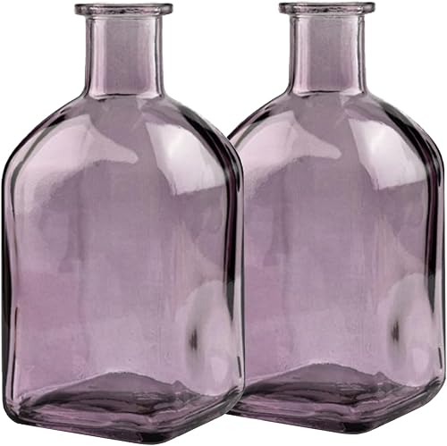 Coastal Style Small Clear Decor Nordic Minimalist Glass Vases,2 Purple Set | Modern & Simple Glass Modern Home Suit for Dining Table,Bookshelf,Entryway Decoration