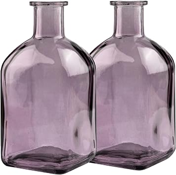 Coastal Style Small Clear Decor Nordic Minimalist Glass Vases,2 Purple Set | Modern & Simple Glass Modern Home Suit for Dining Table,Bookshelf,Entryway Decoration