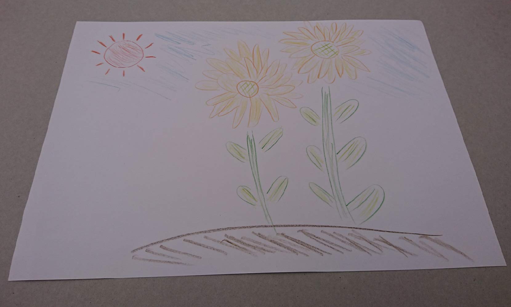 すみれページ リリカラ 【＊送料無料(わEX便)】リリカラ ライト 2022-2025