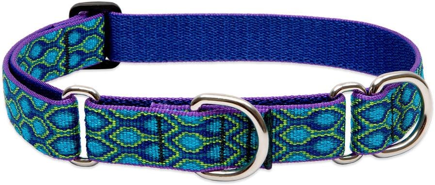 LupinePet Originals 1" Rain Song 15-22" Martingale Collar for Medium and Larger Dogs