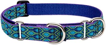 LupinePet Originals 1" Rain Song 15-22" Martingale Collar for Medium and Larger Dogs