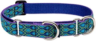 LupinePet Originals 1" Rain Song 19-27" Martingale Collar for Large Dogs