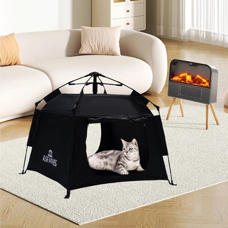 https://m.media-amazon.com/images/I/61tkJPyHuqL.jpg