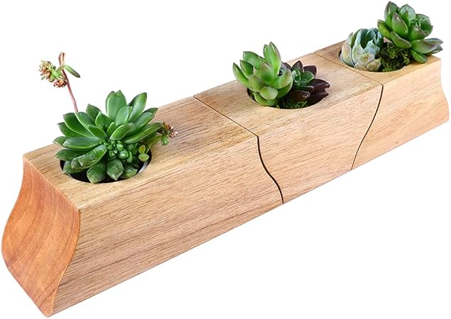 Amazon Co Jp Craft Kitties 木製 多肉 鉢 植物鉢 おしゃれ 陶器付き 3in1型 Diy 工具 ガーデン Amazon Co Jp Craft Kitties 木製 多肉 鉢 植物鉢 おしゃれ 陶器付き 3in1型 Diy 工具 ガーデン