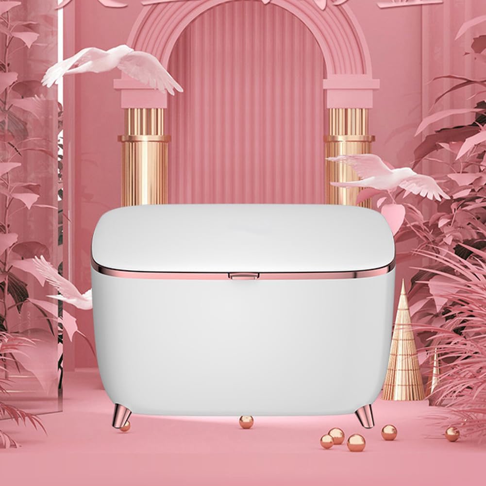 Beauty Ladies Cosmetics Refrigerator, Portable Small Fridge, Mini Personal Refrigerator, Personal Refrigerator, Cosmetics Storage Ice, Office