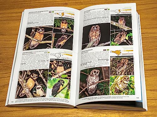 Livro Aves de Santa Catarina: Guia de Identificação - Coleção Aves do Brasil