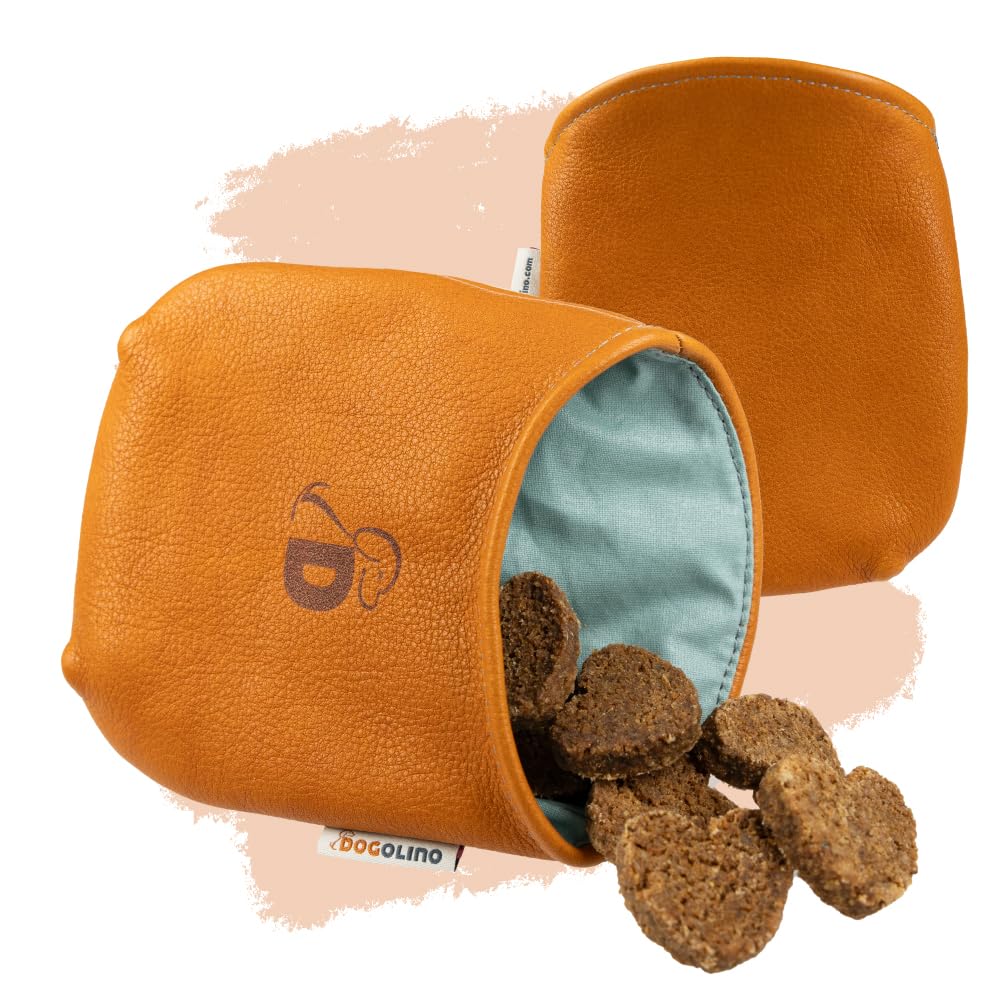 Pantolinos Dogolino® Leather Treat Bag for Dogs - Treat Bag - Treat Bag with Waste Bag Dispenser (Orange Brown, Basic)