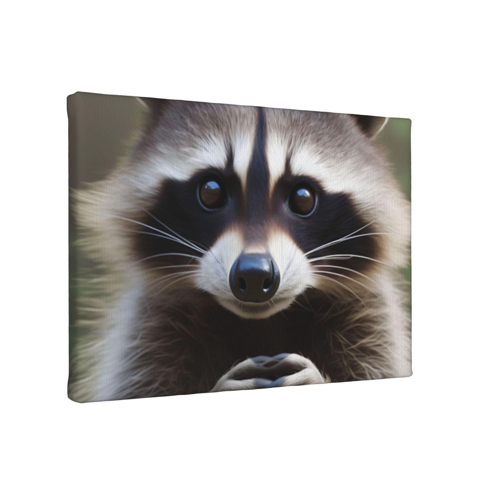 YKLJG Cute Raccoon Printed Wall Art Canvas Painting 30x20 CM Wooden Framed Picture Painting Artwork Prints for Bedroom Kitchen Home Office Decor