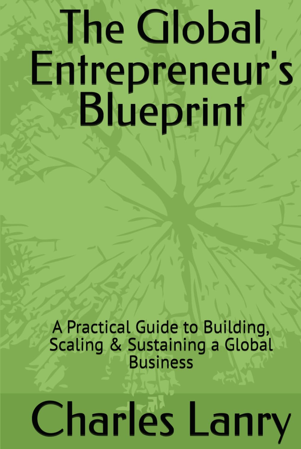 The Global Entrepreneur's Blueprint: A Practical Guide to Building, Scaling & Sustaining a Global Business