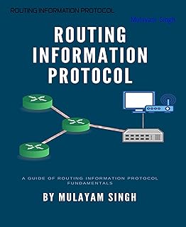 ROUTING INFORMATION PROTOCOL: RIP DYNAMIC ROUTING LAB CONFIGURATION