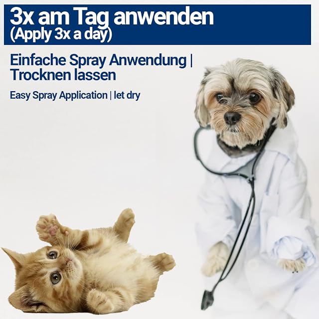 Foto 4 de 8 de BMUT 1 spray de plata coloidal de 100 ml para mascotas, perro, gato, caballo, spray para heridas