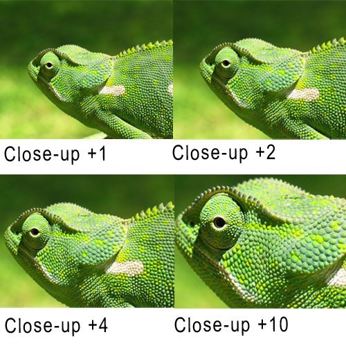 Essential Lens Accessory Kit for 58mm Canon Rebel and EOS Series Cameras T5i T4i T3i T3 T2i T1i XT XTi XSi SL1 700D 650D 600D 550D 500D 450D 400D 350D 300D 1100D 100D 60D 7D and More --Includes: 58mm Filter Kit (UV, CPL, FLD) + 58mm Macro Close-Up Set (+1 +2 +4 +10) + Tulip Flower Lens Hood + Lens Cap Cover + JB Digital Microfiber Lens Cleaning Cloth